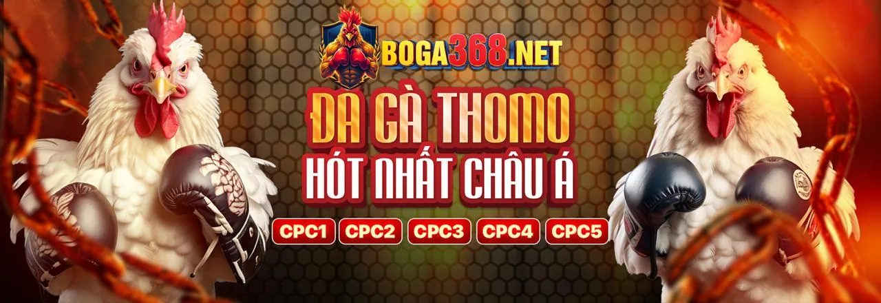 Tham gia pet88 để chơi đá gà trực tuyến